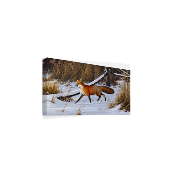 Wilhelm Goebel 'Fox Trot Red Fox' Canvas Art,12x24